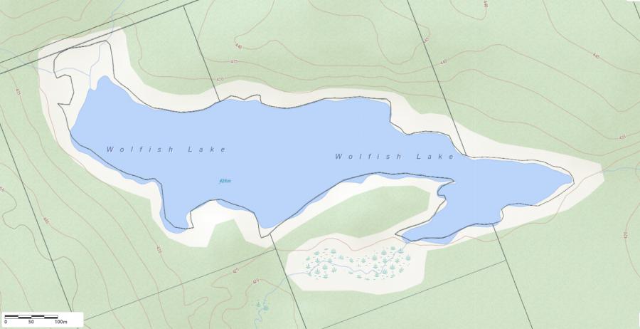 Topographical Map of Wolfish Lake in Municipality of Algonquin Highlands and the District of Haliburton