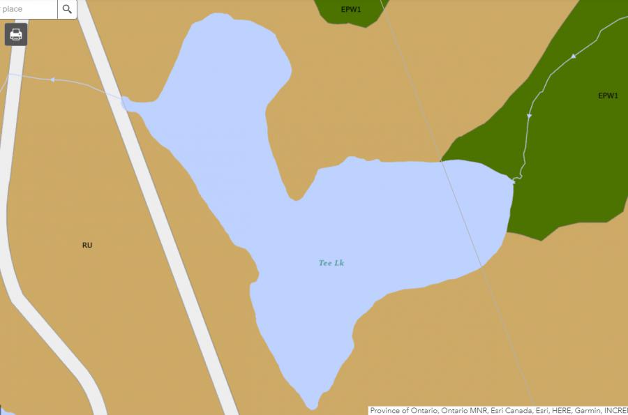 Zoning Map of Tee Lake in Municipality of Bracebridge and the District of Muskoka