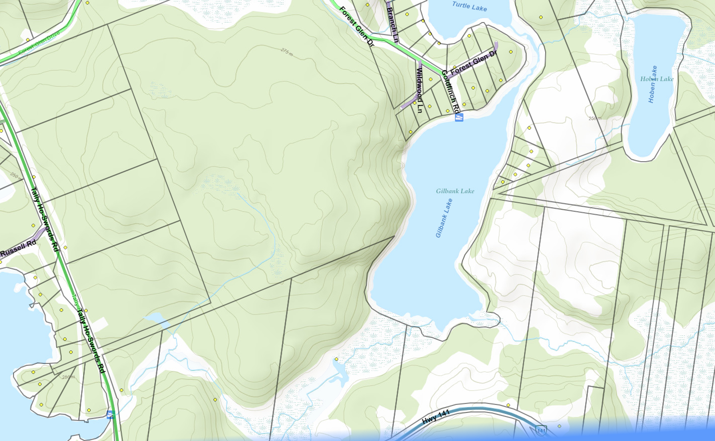 Gilbank Lake Cadastral Map - Gilbank Lake - Muskoka