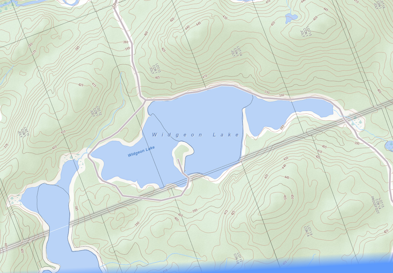 Widgeon Lake Cadastral Map - Widgeon Lake - Muskoka