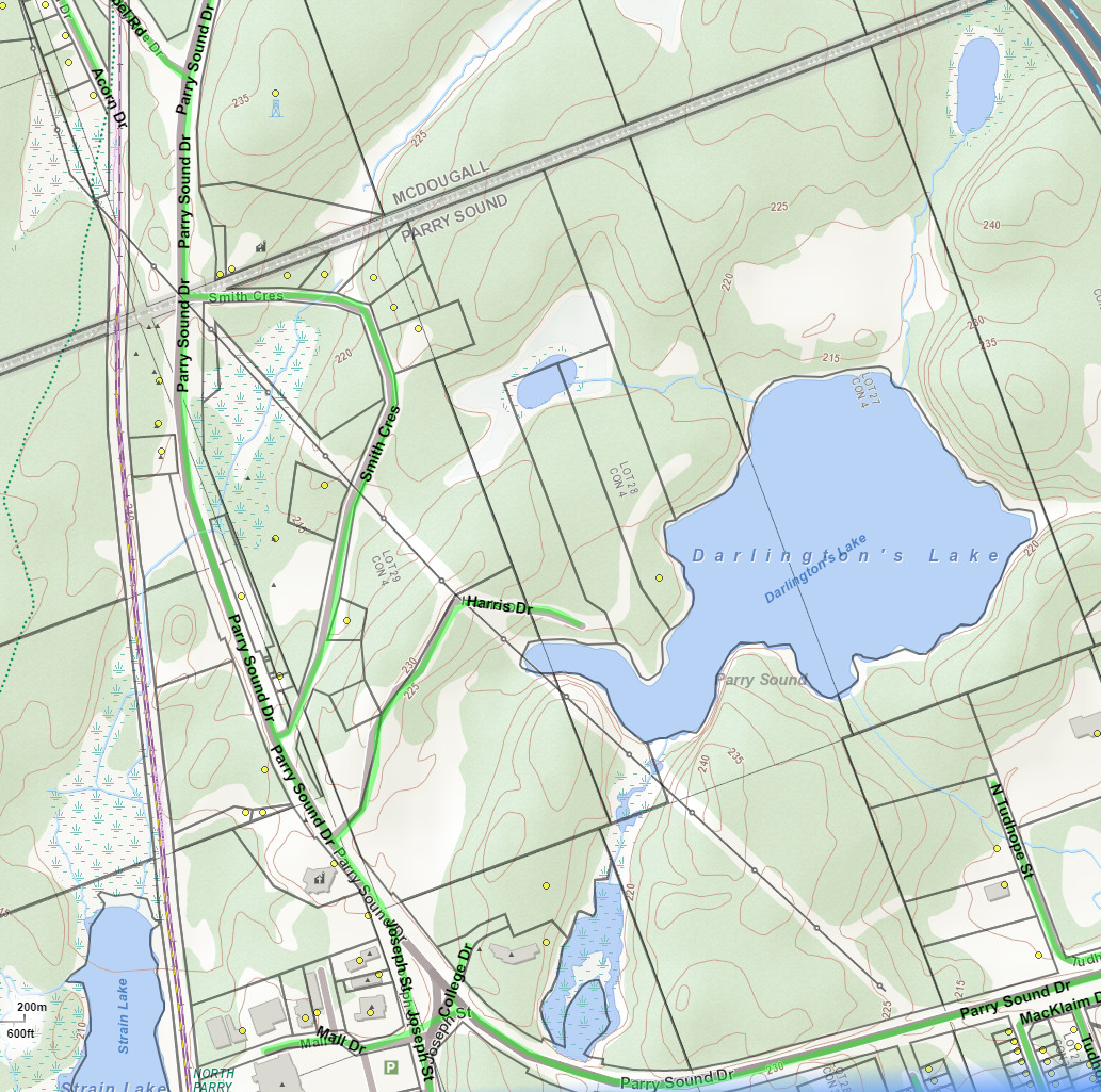 Darlington's Lake Cadastral Map - Darlington's Lake - Muskoka