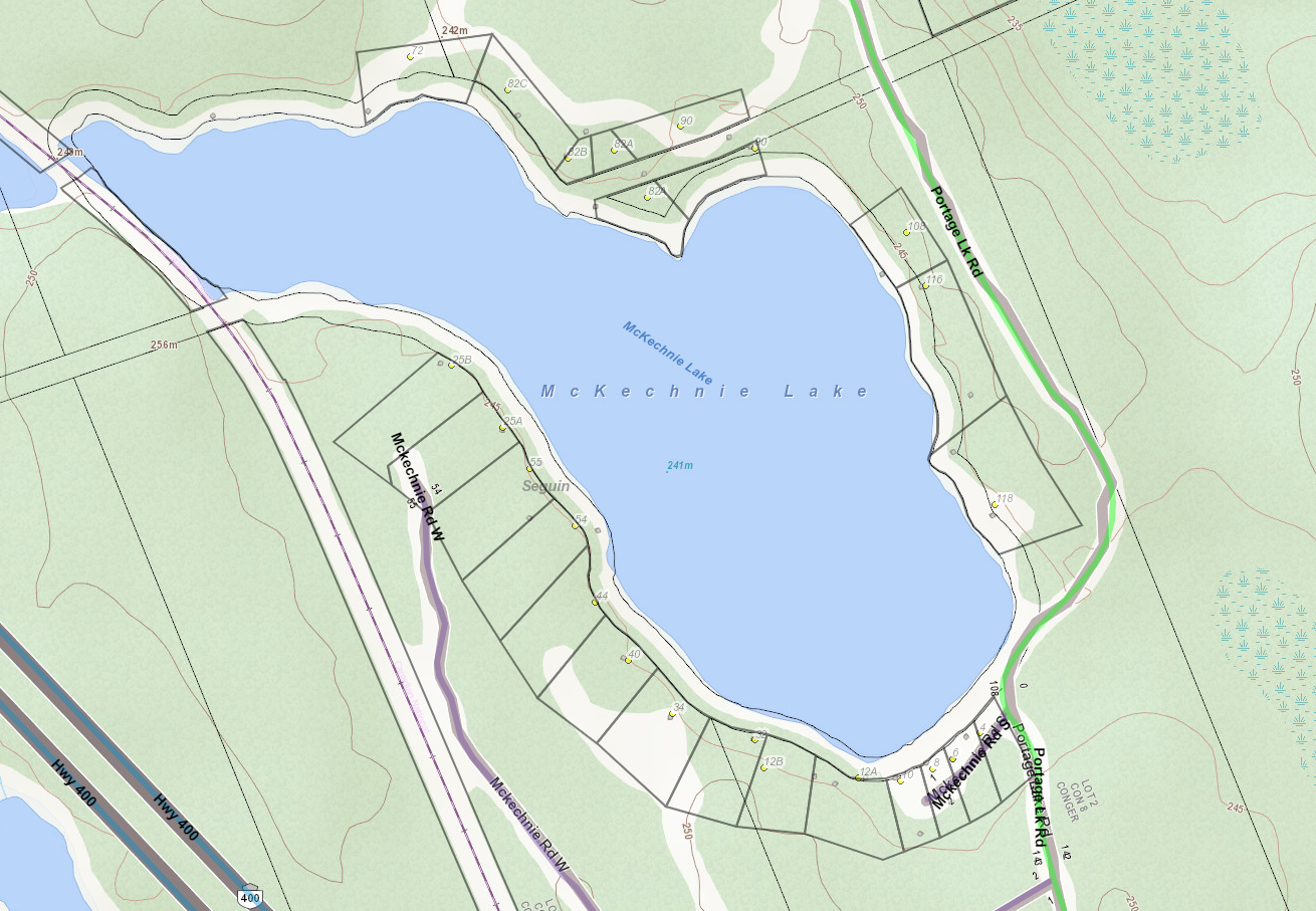 McKechnie Lake Cadastral Map - McKechnie Lake - Muskoka