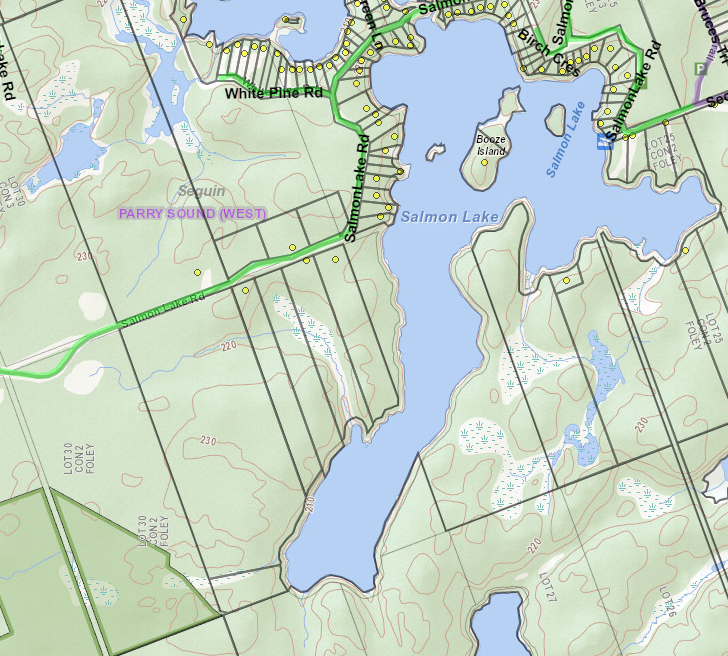Arrowhead Lake Cadastral Map - Arrowhead Lake - Muskoka
