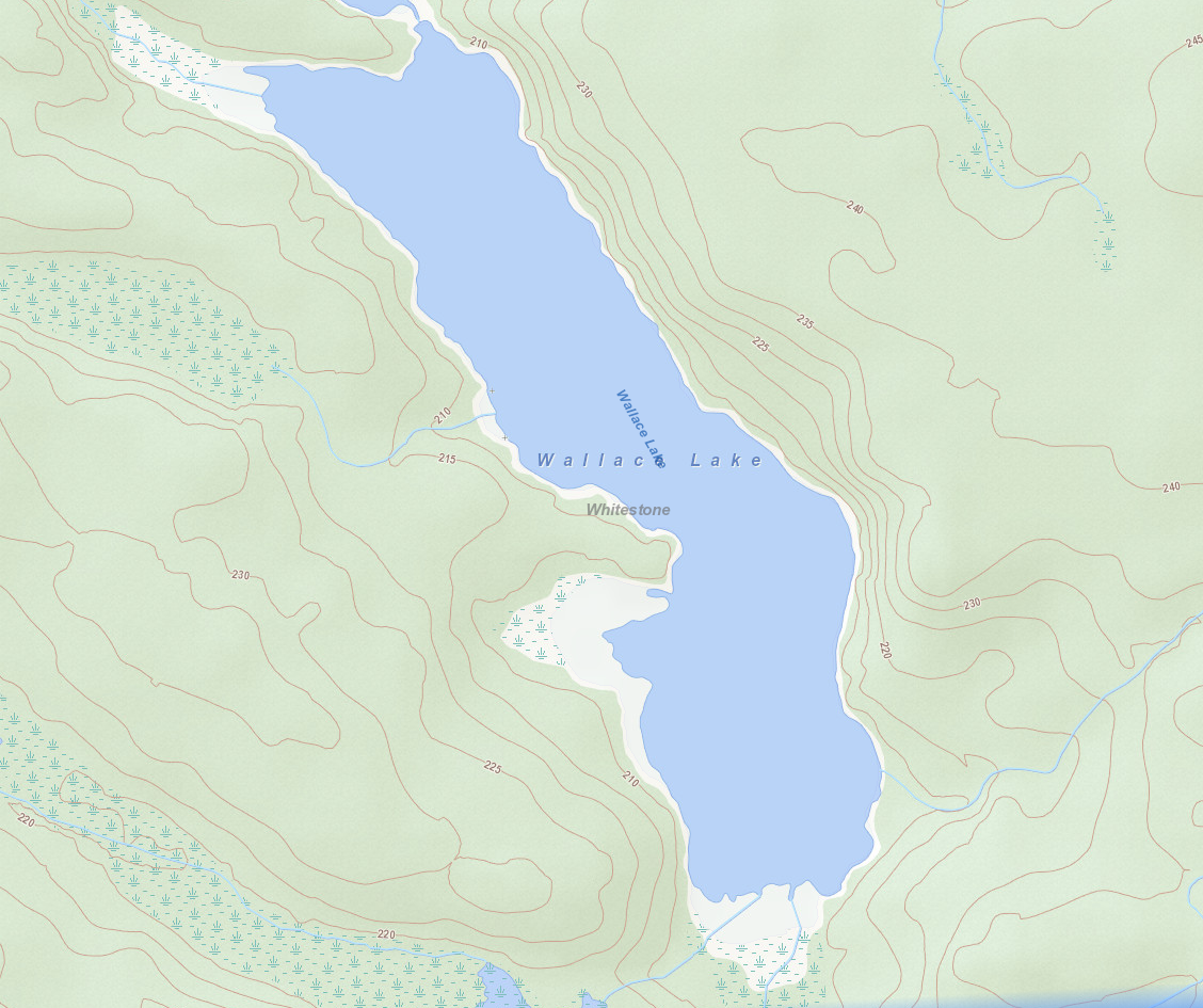 Wallace Lake Cadastral Map - Wallace Lake - Muskoka