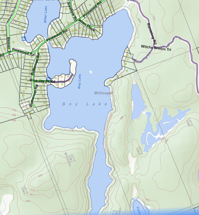 Boy Lake Cadastral Map - Boy Lake - Muskoka