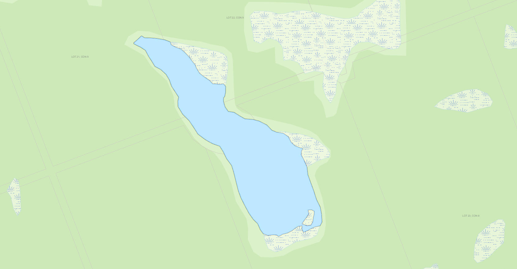 Beast Lake Cadastral Map - Beast Lake - Muskoka