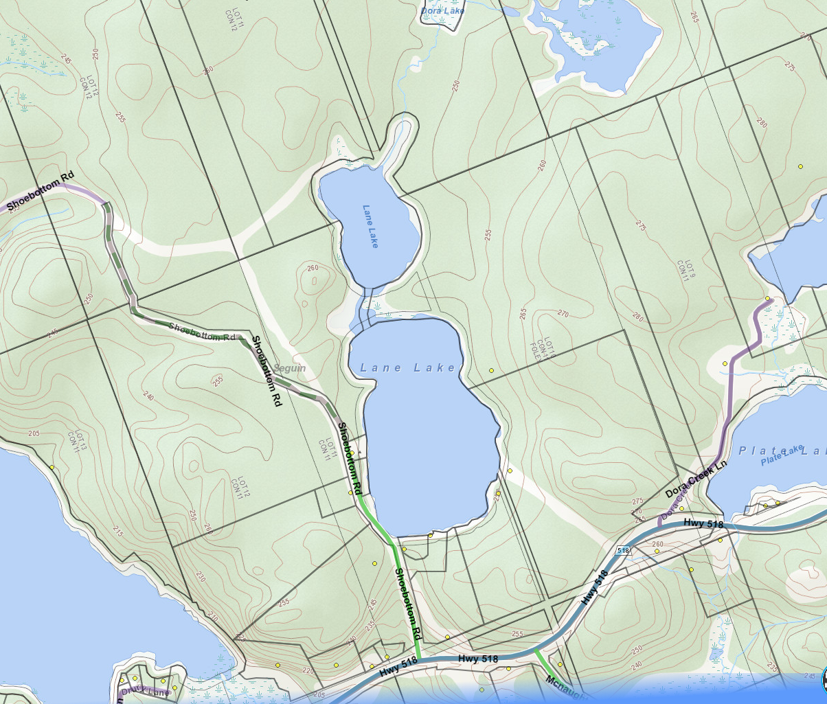 Lane Lake Cadastral Map - Lane Lake - Muskoka