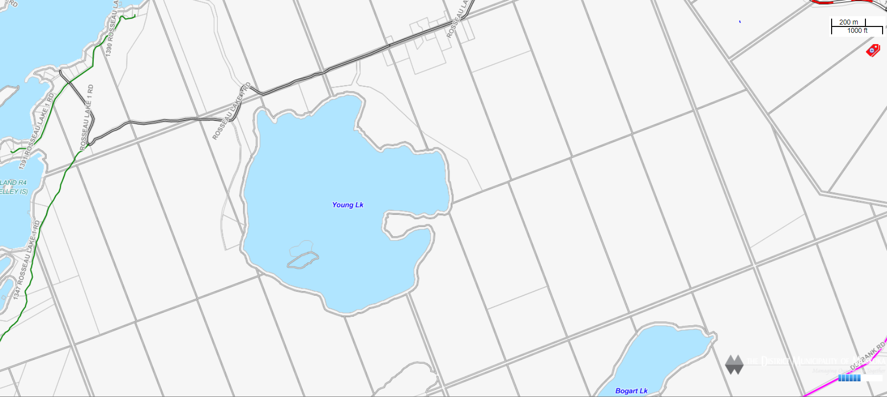 Cadastral Map Young Lake -  - Muskoka