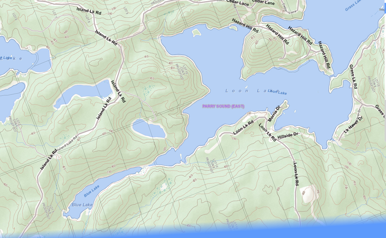 Loon Lake Cadastral Map - Loon Lake - Muskoka