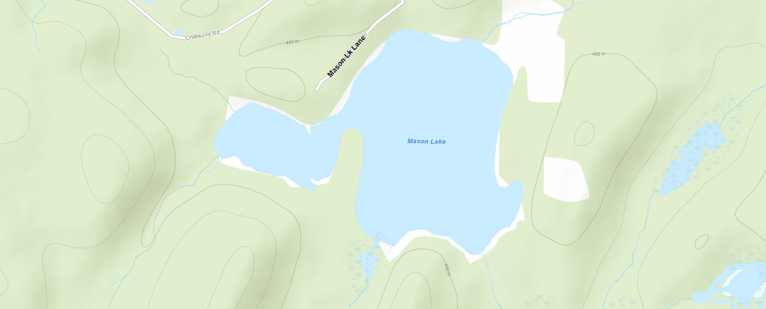 Deer Lake Cadastral Map - Deer Lake - Muskoka