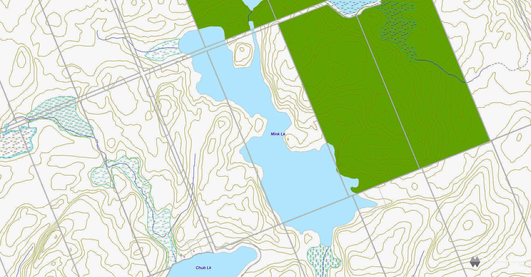 Mink Lake Cadastral Map - Mink Lake - Muskoka