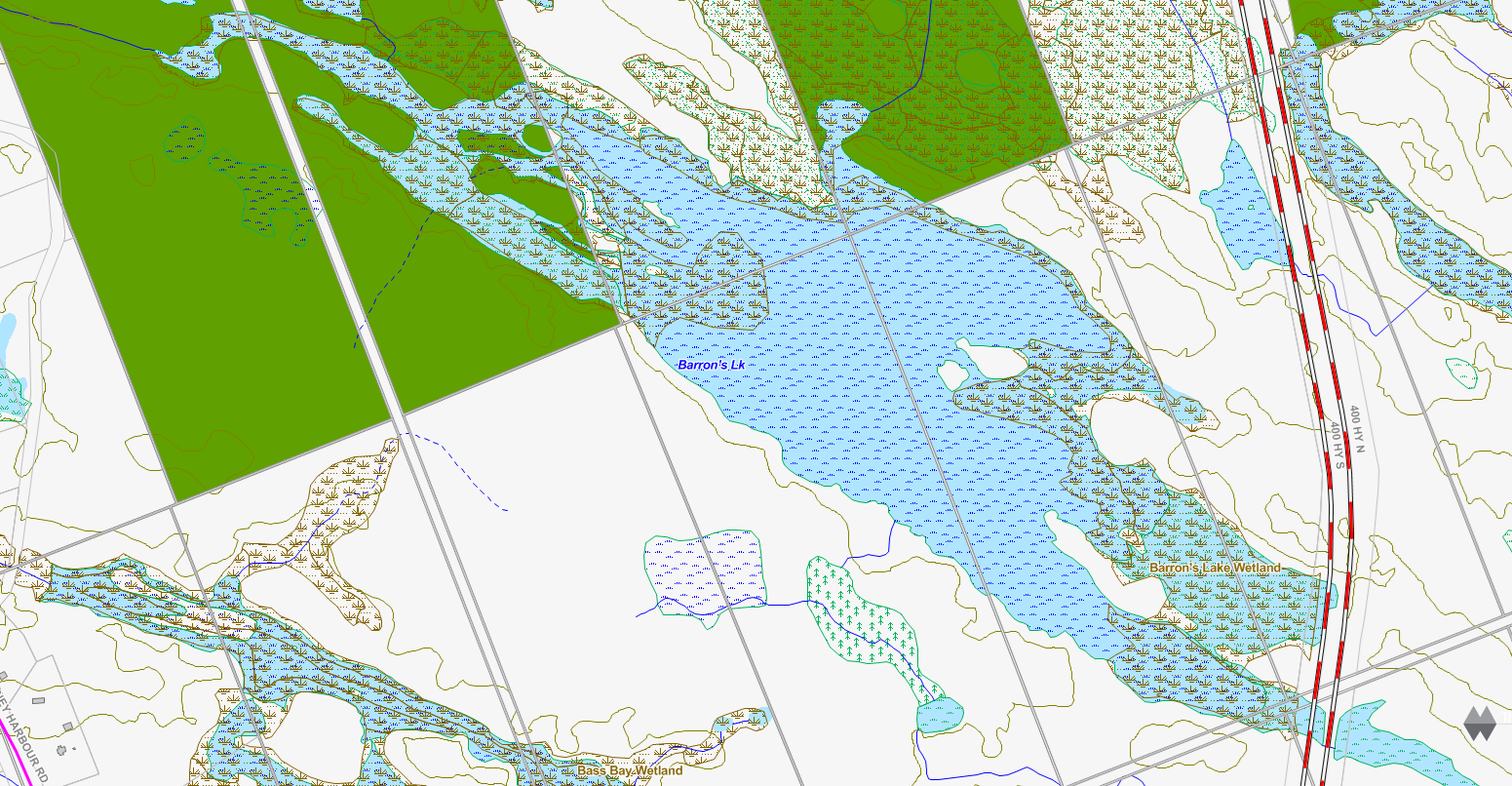 Rutter Lake Cadastral Map - Rutter Lake - Muskoka