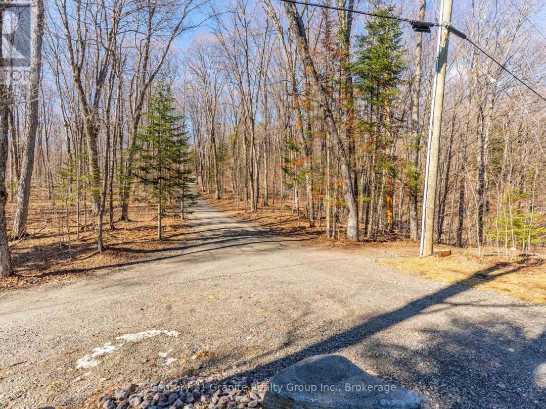 1133 SISU LANE, Long Lake
