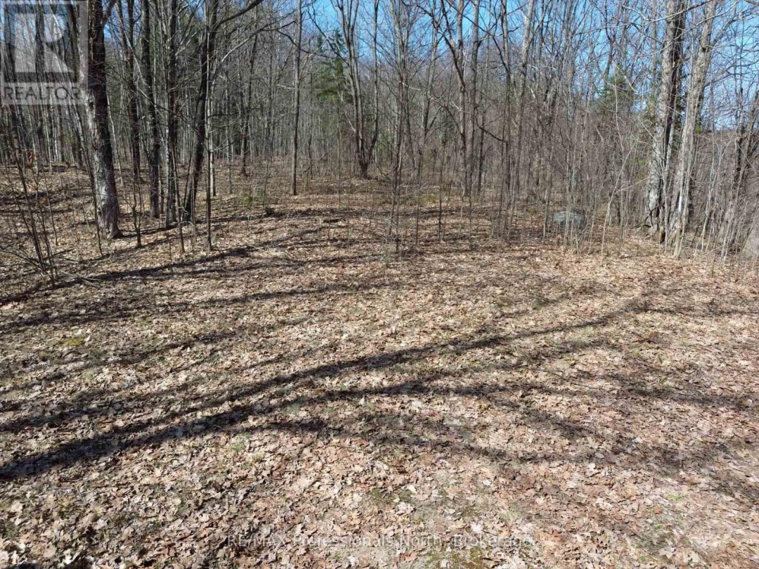 1023 LITTLE HAWK LAKE ROAD, Algonquin Highlands (Stanhope)