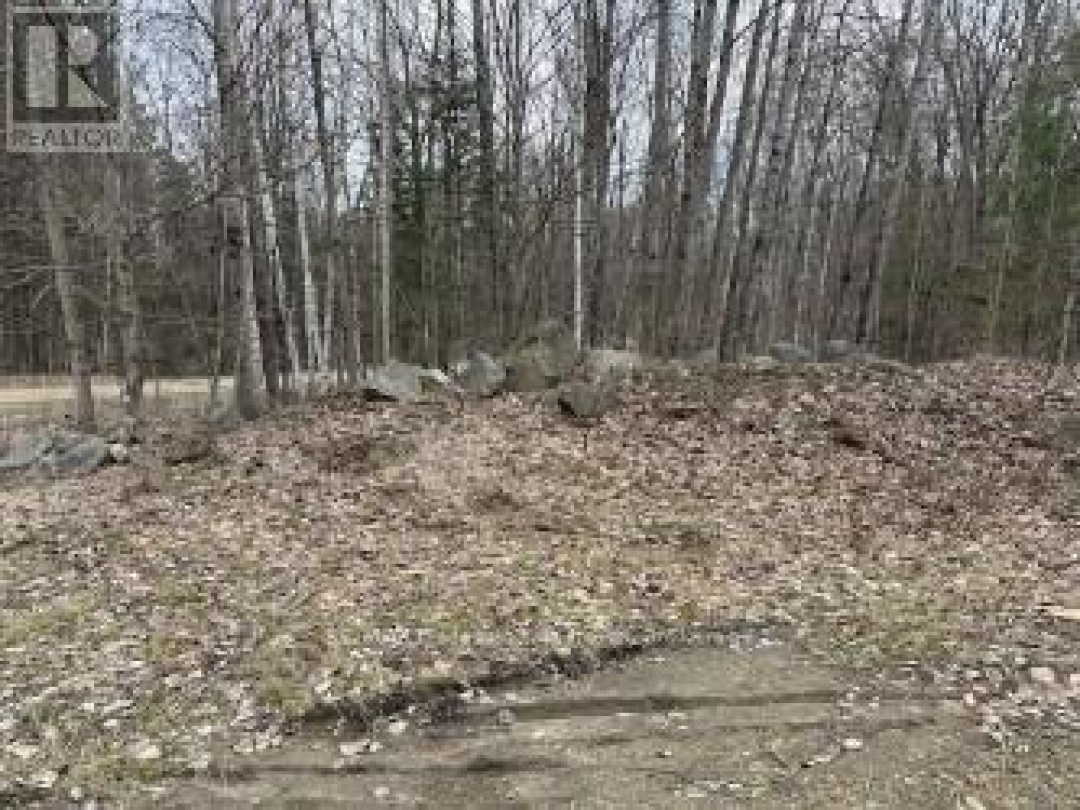 LOT SILVERWOOD ROAD, Minden Hills (Snowdon)