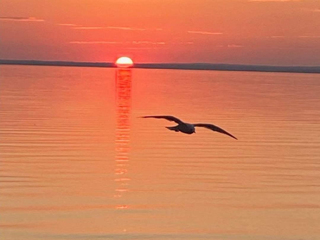 2730 LONE BIRCH TRAIL N, 