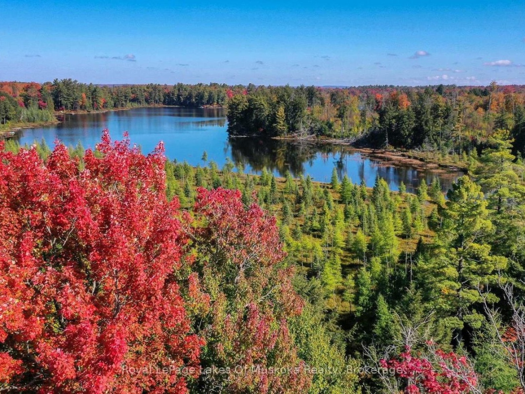 1420 LIMBERLOST ROAD, Pell Lake