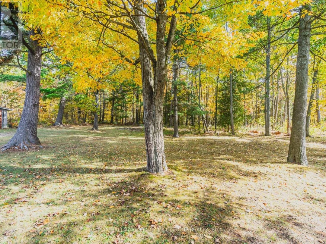 332 BAXTER LOOP ROAD, 