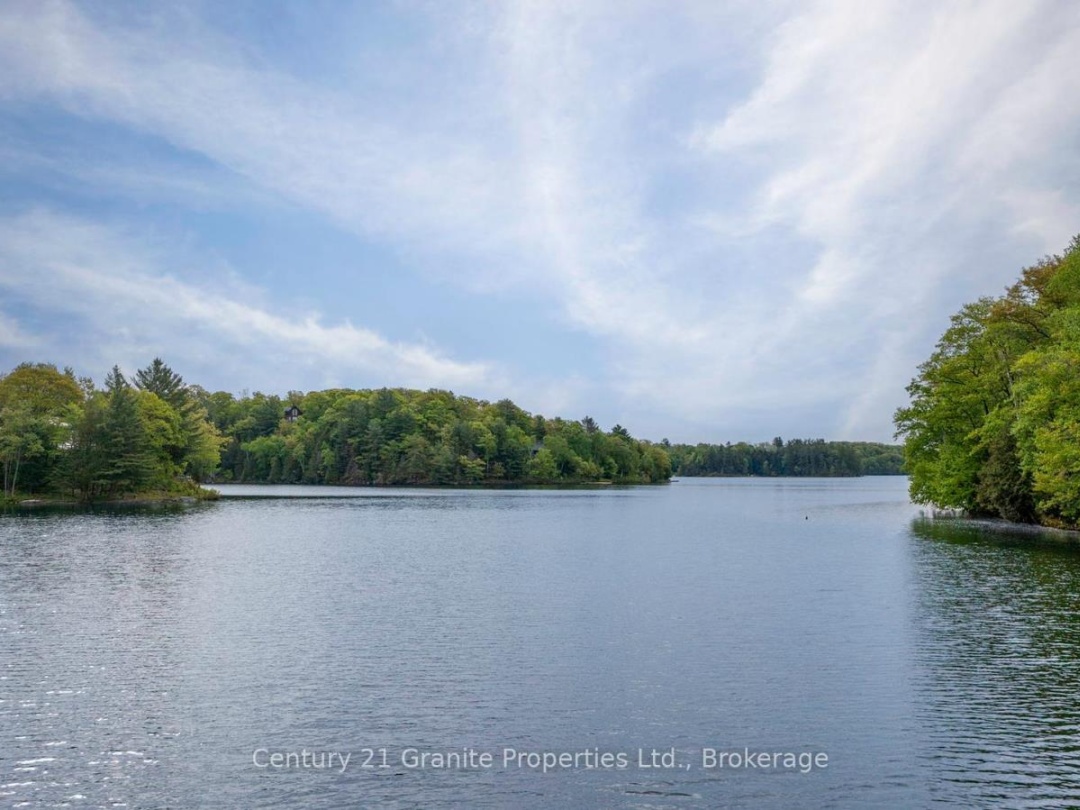 131 DOWNES ROAD, Horseshoe Lake