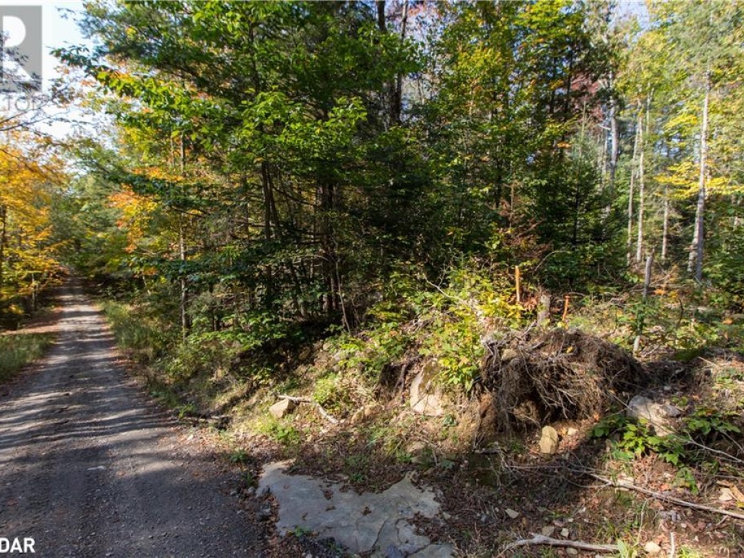 0 LYNX LAKE Road, 