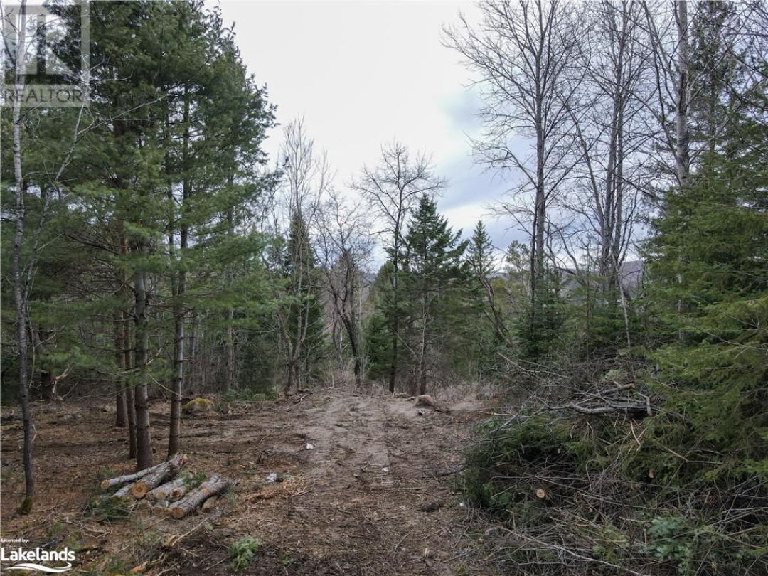 0 Old Muskoka Road Unit# Lot 2, Emsdale