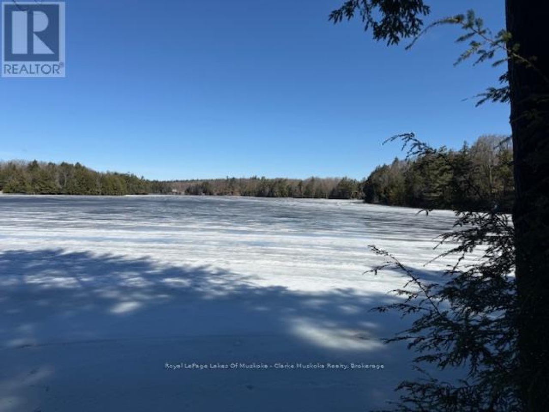 0 SOUTH CRANE LAKE ROAD, Crane Lake