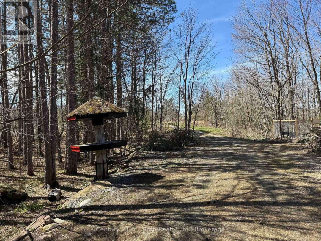 1087 MERKLEY ROAD, Gravenhurst (Ryde)