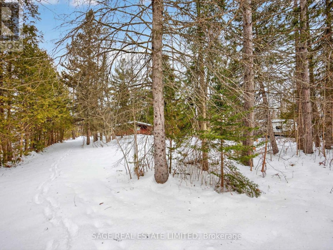 7856 BIRCH DRIVE, Black River