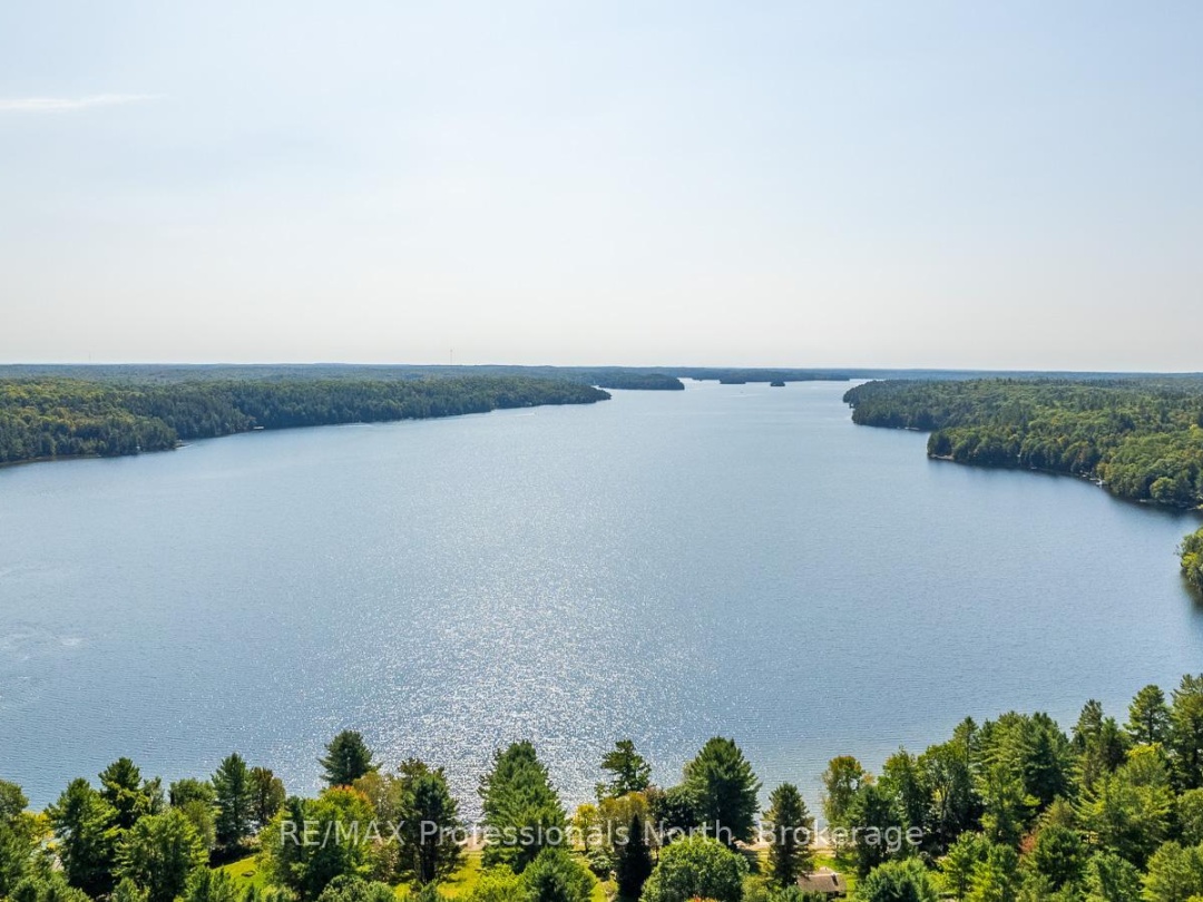 1029 LOYALIST DRIVE, 