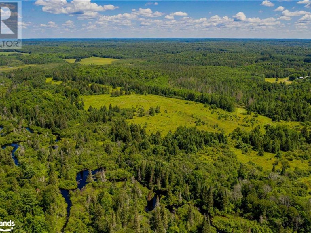 Lot 8 Nelson Lake Road, Magnetawan