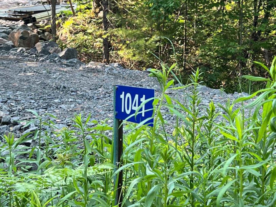 1874 HIGHWAY 11 N, Jevins Lake