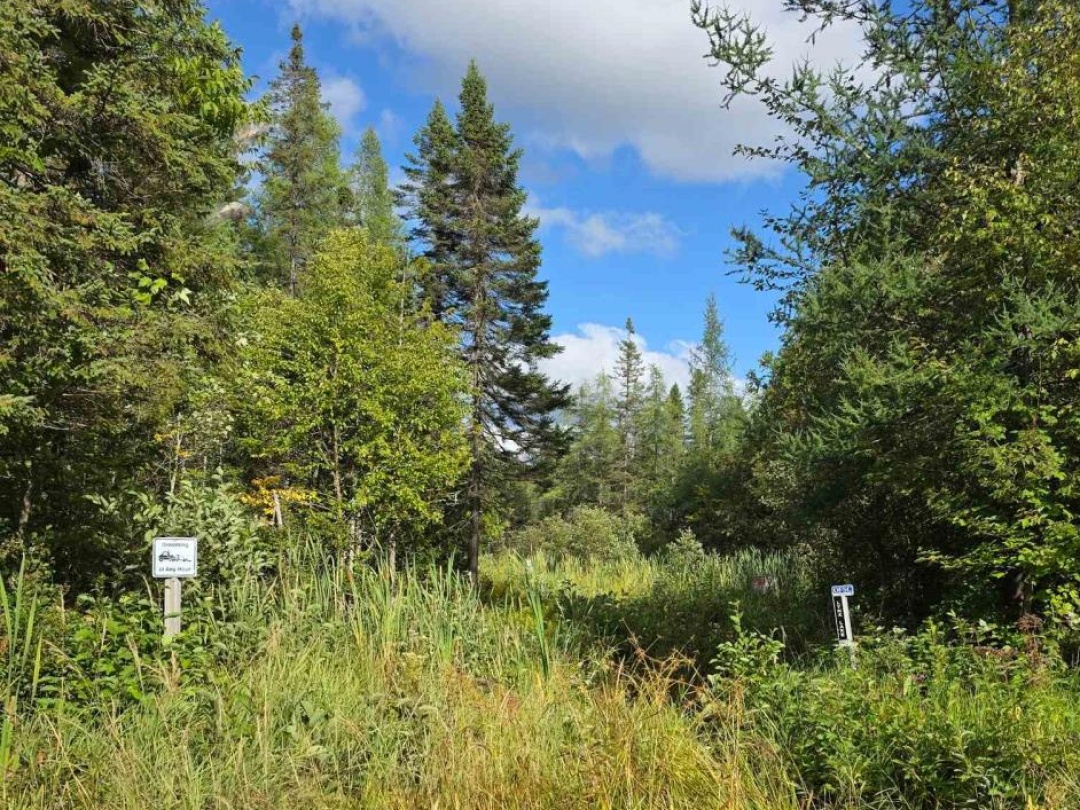 671 LYNX LAKE ROAD, 