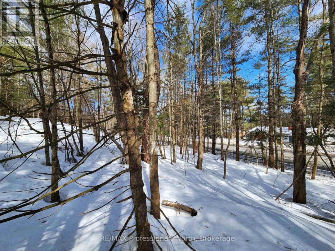 00 MANITOBA STREET, Bracebridge (Macaulay)