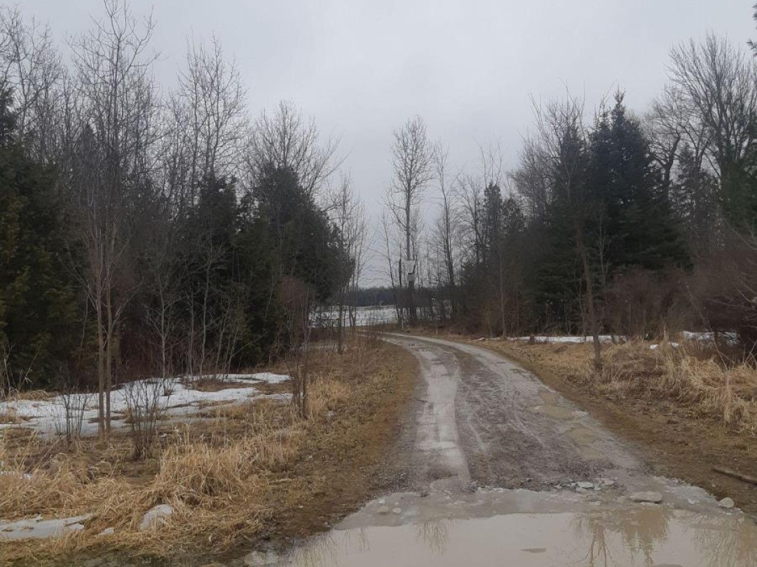 208 MCGUIRE BEACH ROAD, 