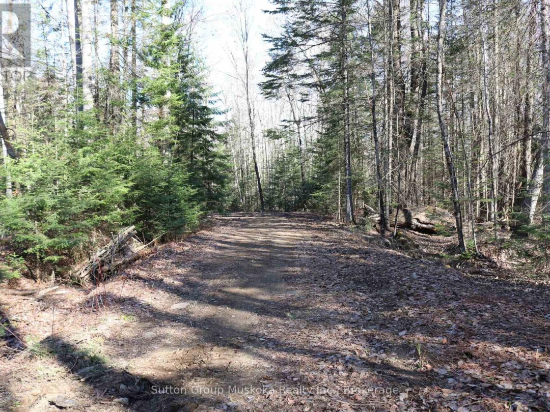 2602 MUSKOKA 10 ROAD, Huntsville (Brunel)