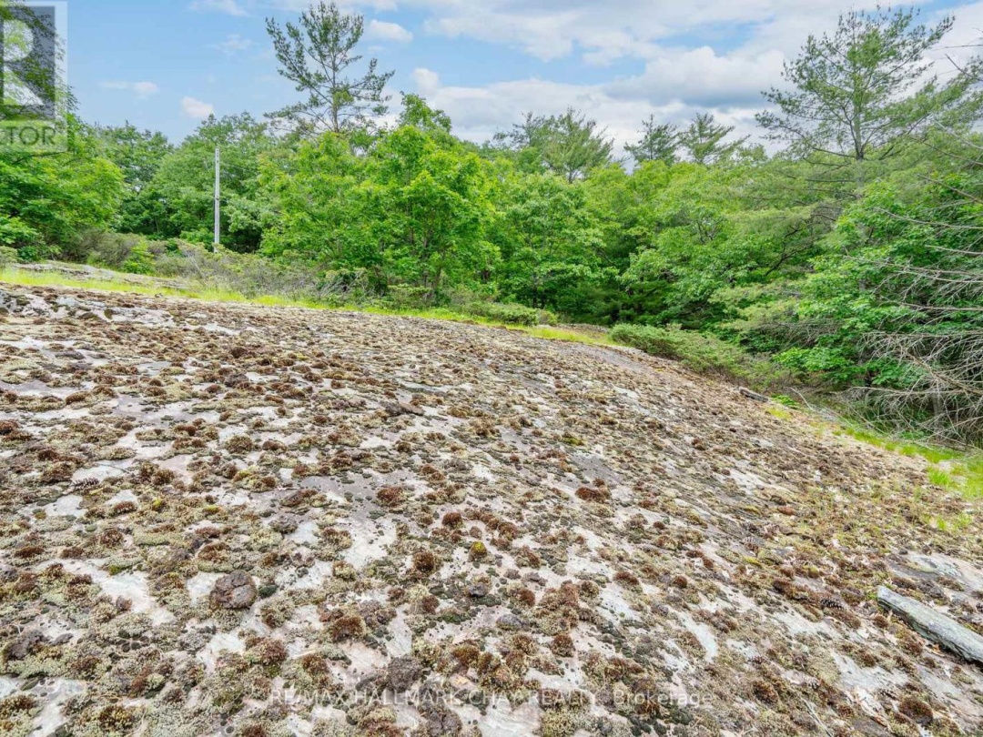 LOT 2 DELTA ROAD, Sparrow Lake