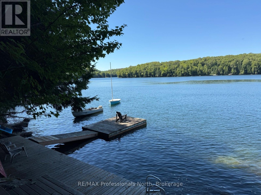 1025 MANITOU ROAD, Little Dudmon Lake