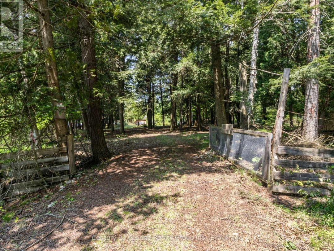 0 SOYERS LAKE ROAD, Soyers Lake