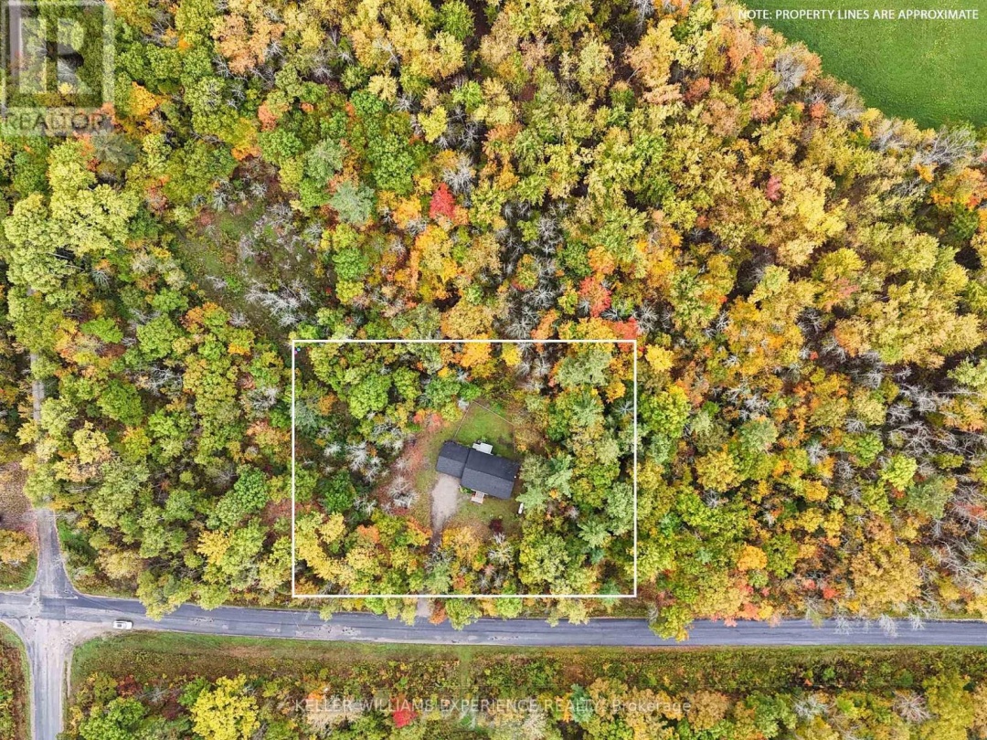 2372 KINNEAR SIDE ROAD, 