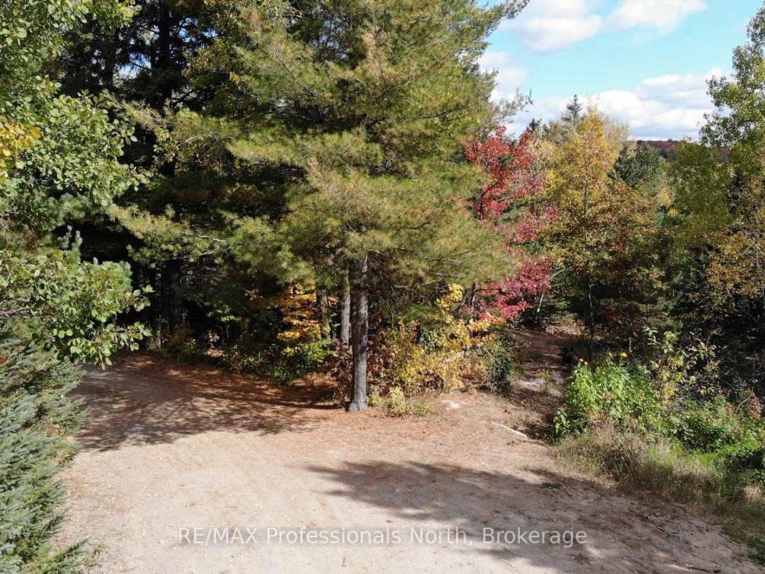 10916 HIGHWAY 503 HIGHWAY, Highlands East (Glamorgan)
