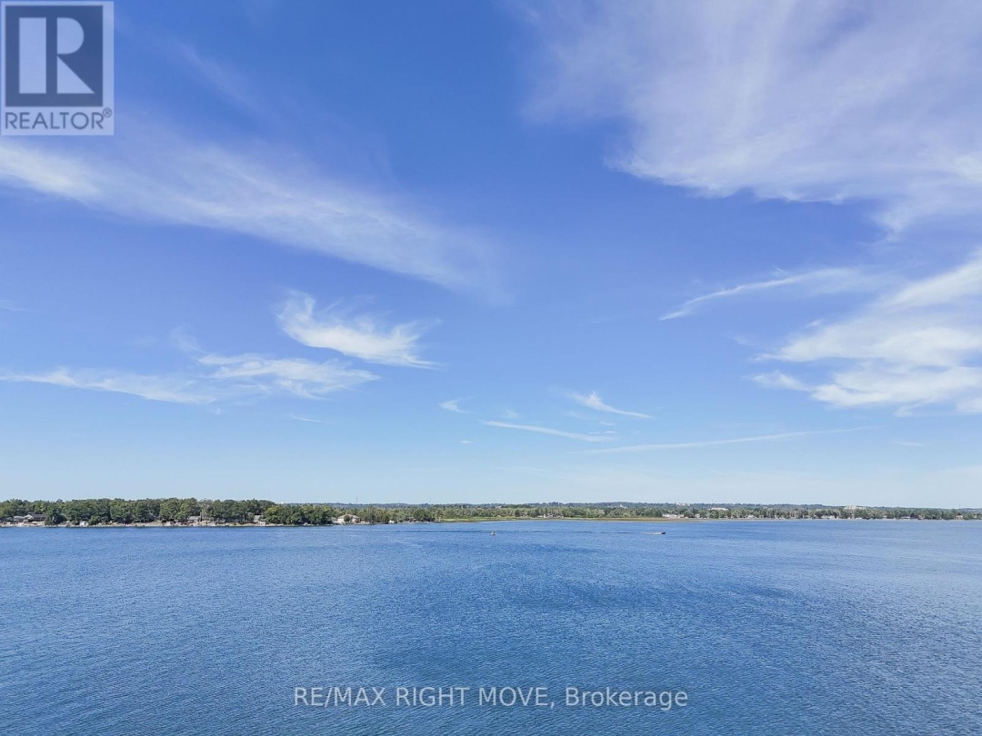 135 CREIGHTON STREET S, Lake Simcoe