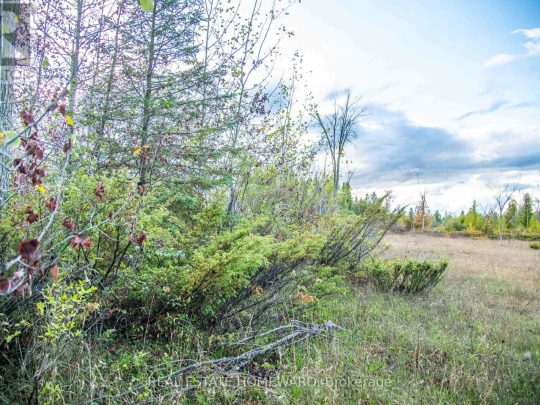 LOT 254 MCGUIRE BEACH ROAD, Canal Lake