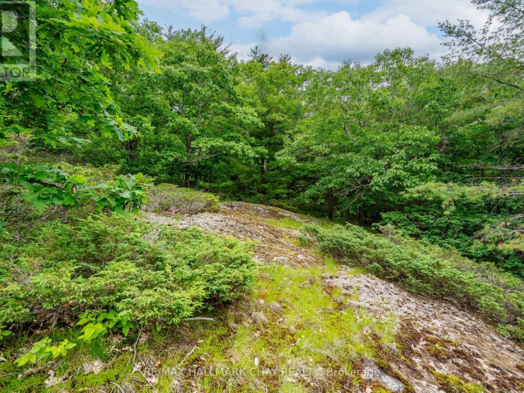 LOT 2 DELTA ROAD, Sparrow Lake