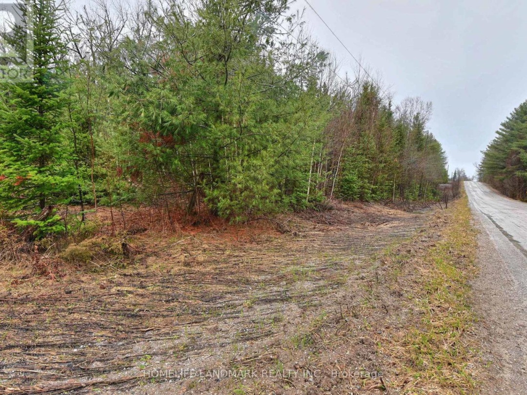 26-28 CHISHOLM TRAIL, Kawartha Lakes (Dalton)