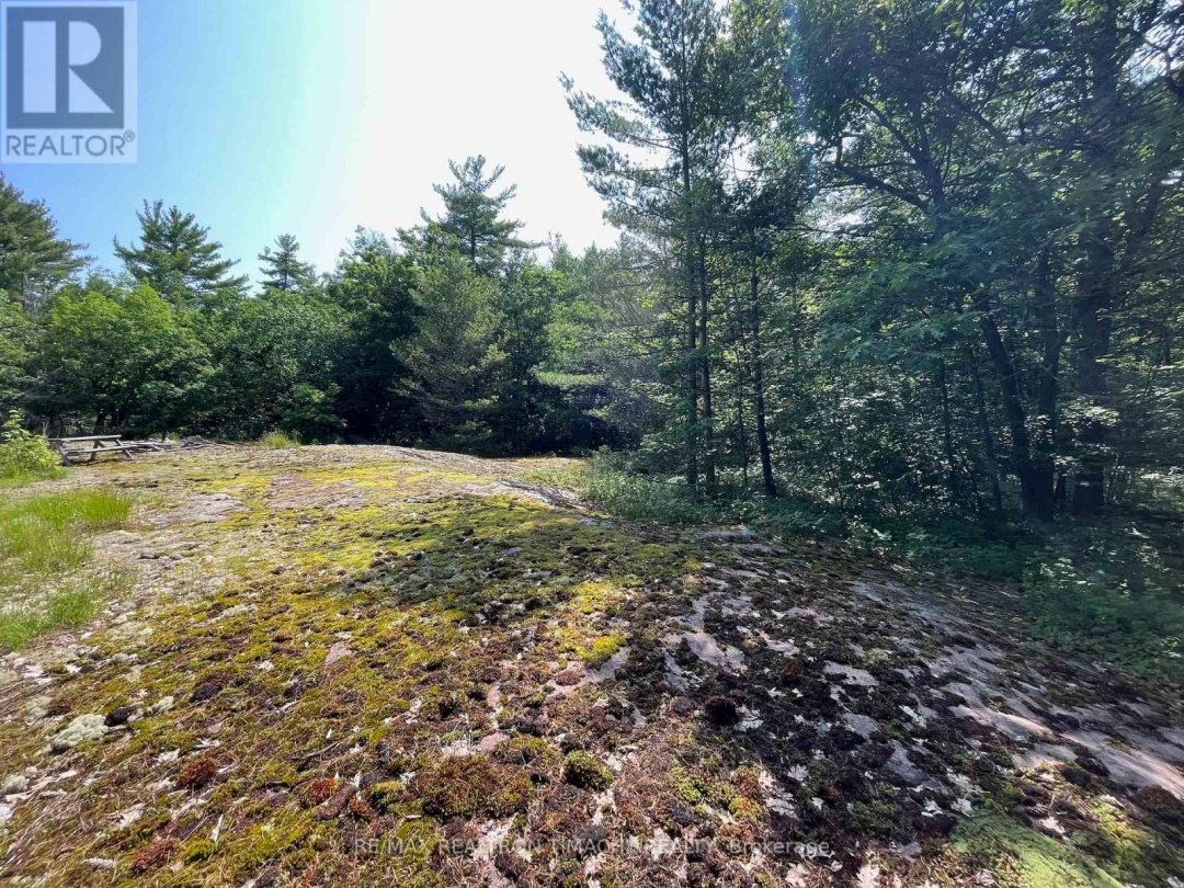 243 PRISQUE ROAD, Georgian Bay