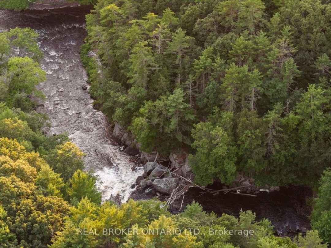 1401 COOPERS FALLS ROAD, Black River