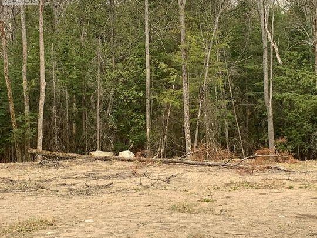 5 MOUNTAIN BASIN Drive, Parry Sound