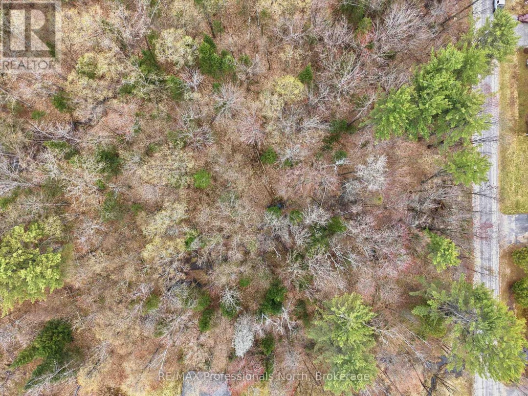 0 EAST WALKER LAKE DRIVE, Lake of Bays (Sinclair)