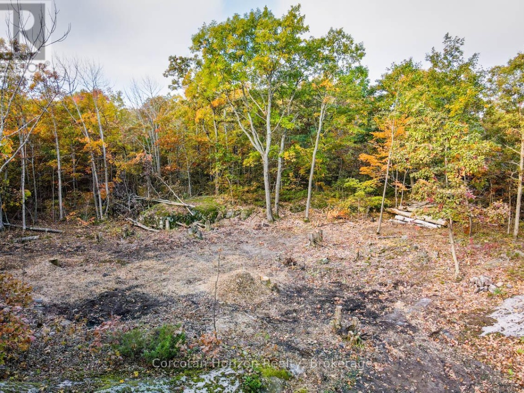 Lot A 87 Corrievale Rd, Georgian Bay (Baxter)