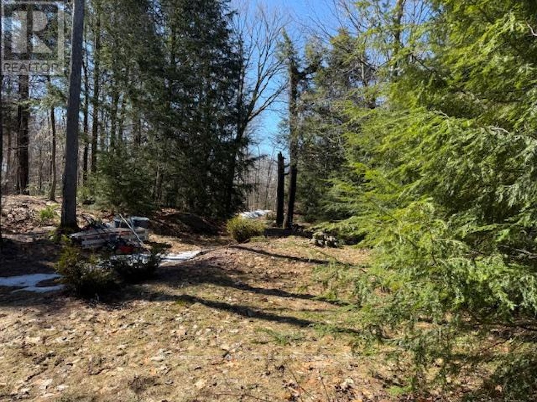 0 SOUTH CRANE LAKE ROAD, Crane Lake